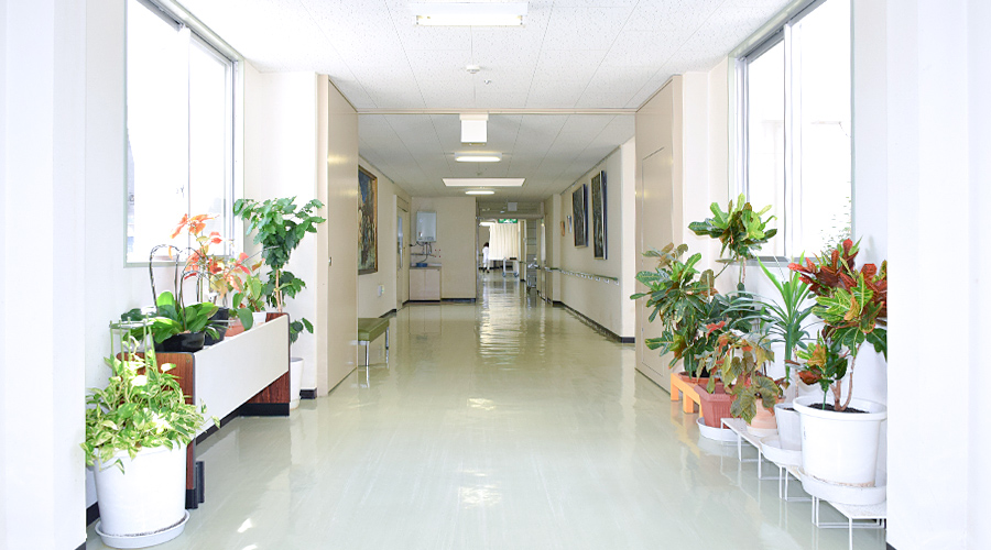 廊下の様子